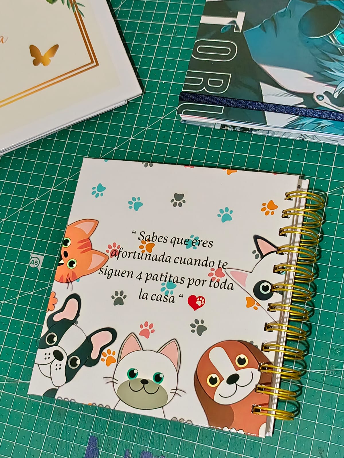CONTROL VETERINARIO PERSONALIZADO 1
