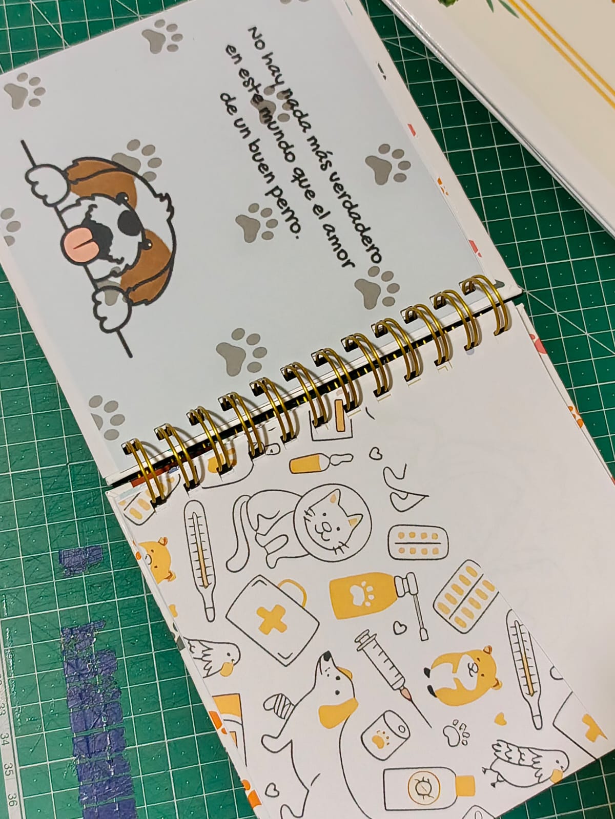 CONTROL VETERINARIO PERSONALIZADO 1