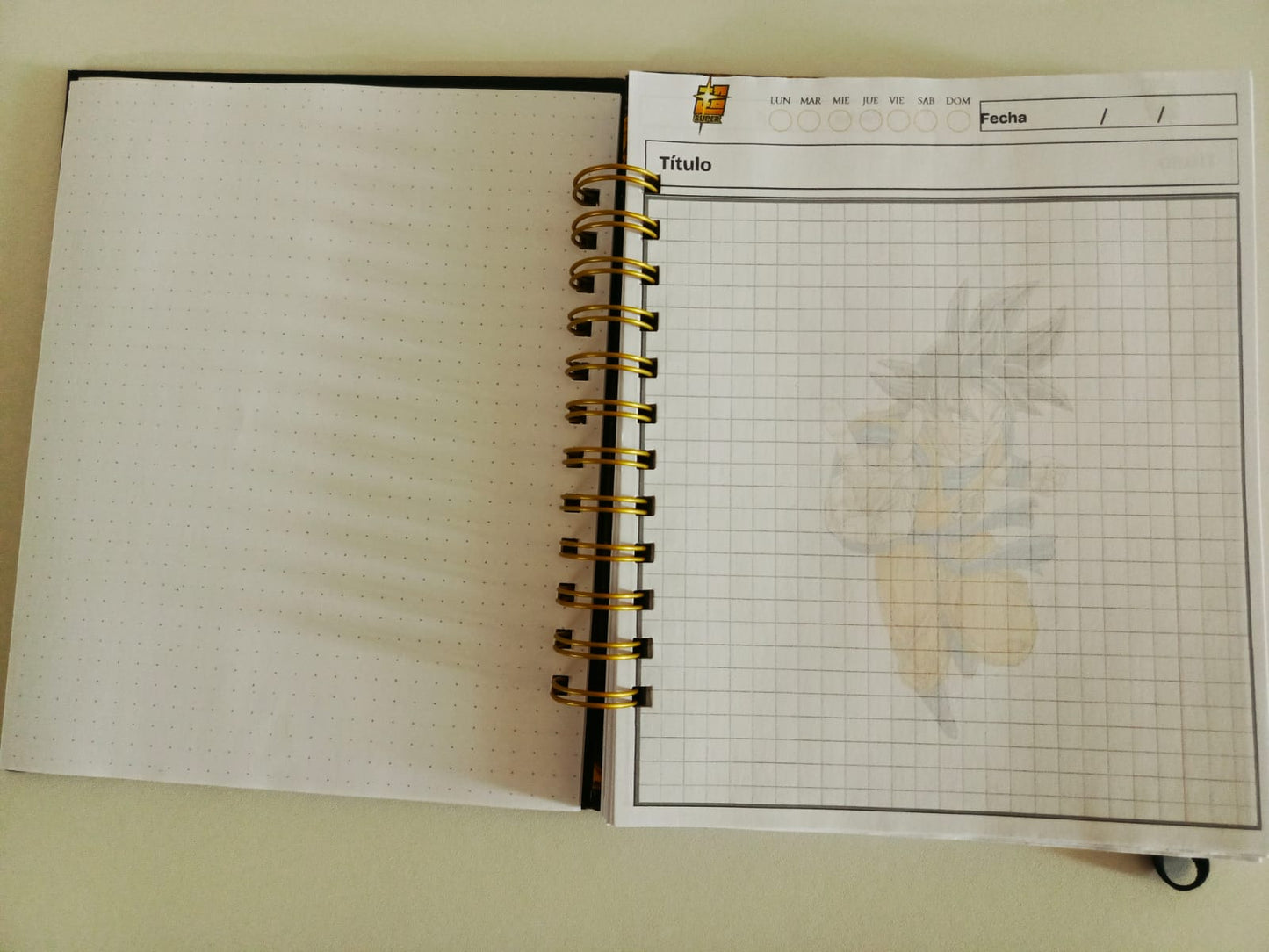 CUADERNO EJECUTIVO 1