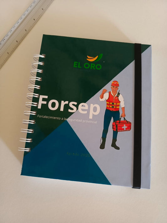 PLANNER EJECUTIVO
