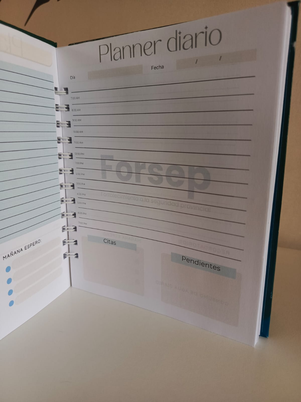 PLANNER EJECUTIVO