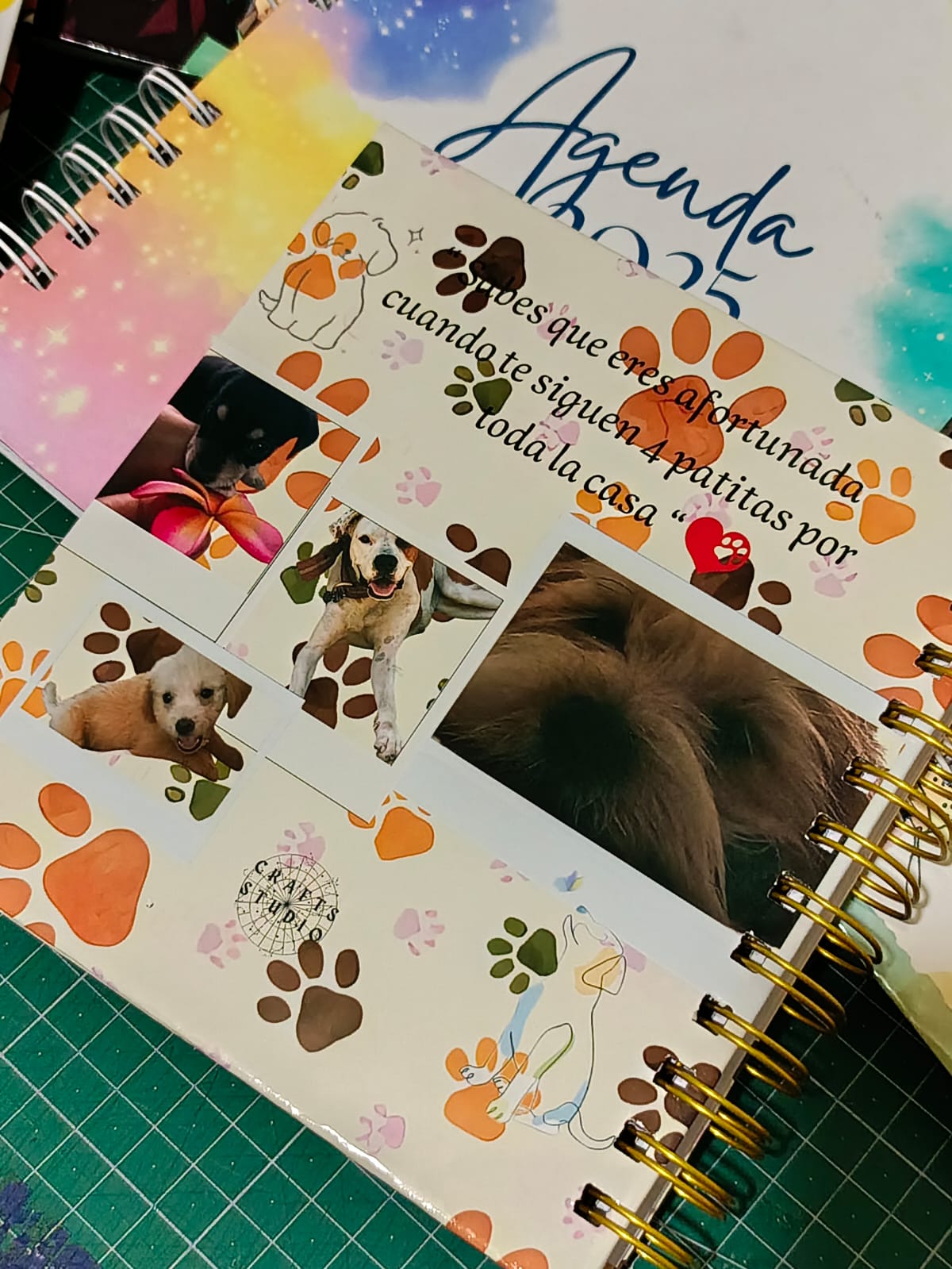 CONTROL VETERINARIO PERSONALIZADO 2